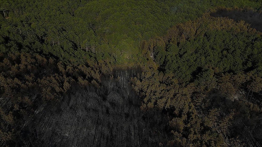 Denizli Haber Orman-20