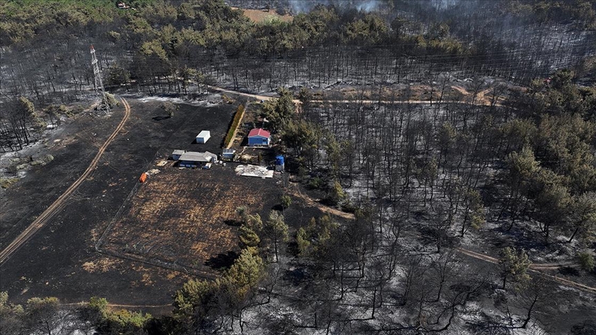 Denizli Haber Orman Yangını-5