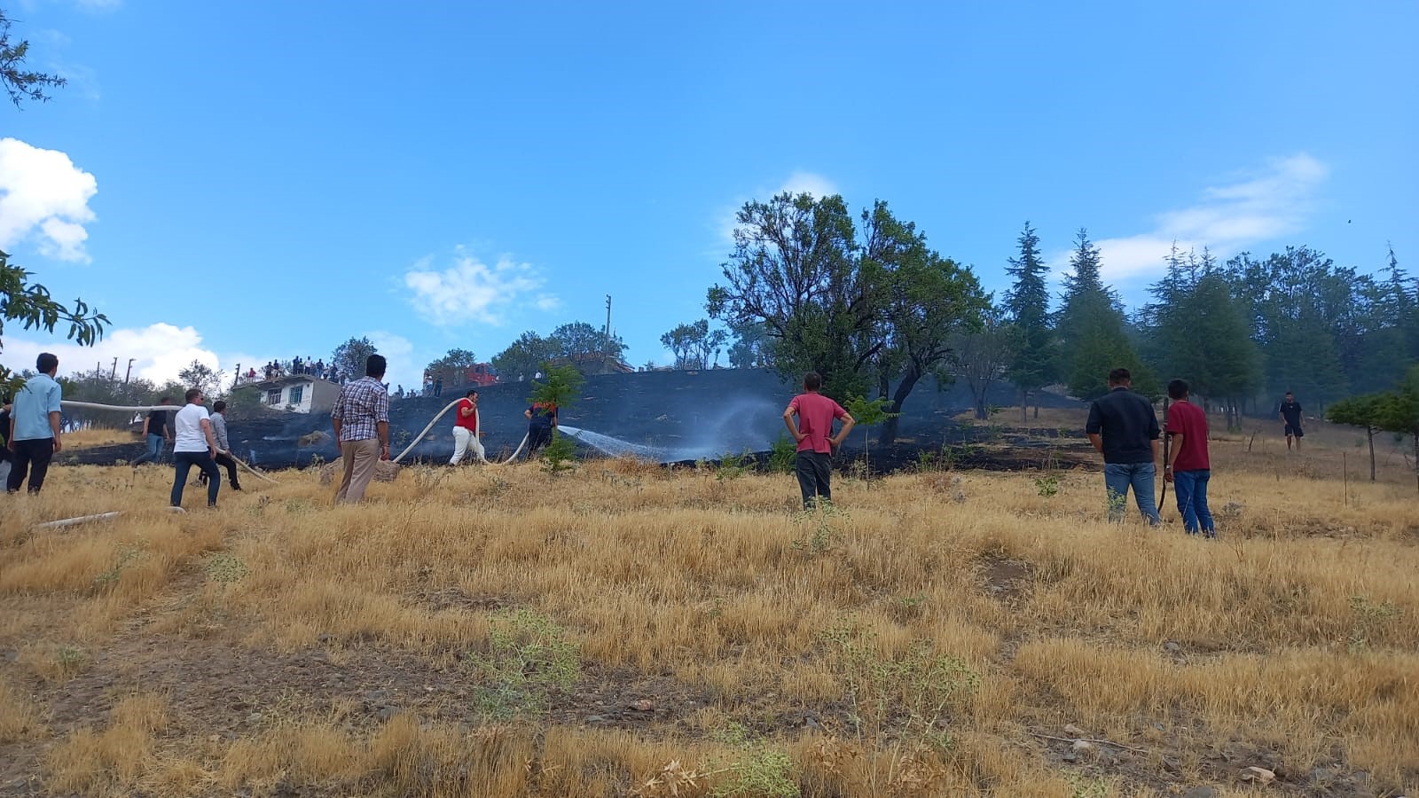 Denizli Haber Ot Yangını (2)
