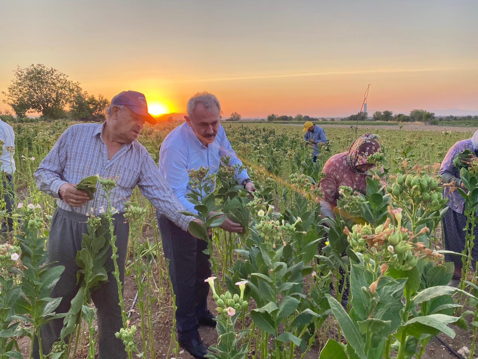 Denizli Haber Şahin Tin (10)