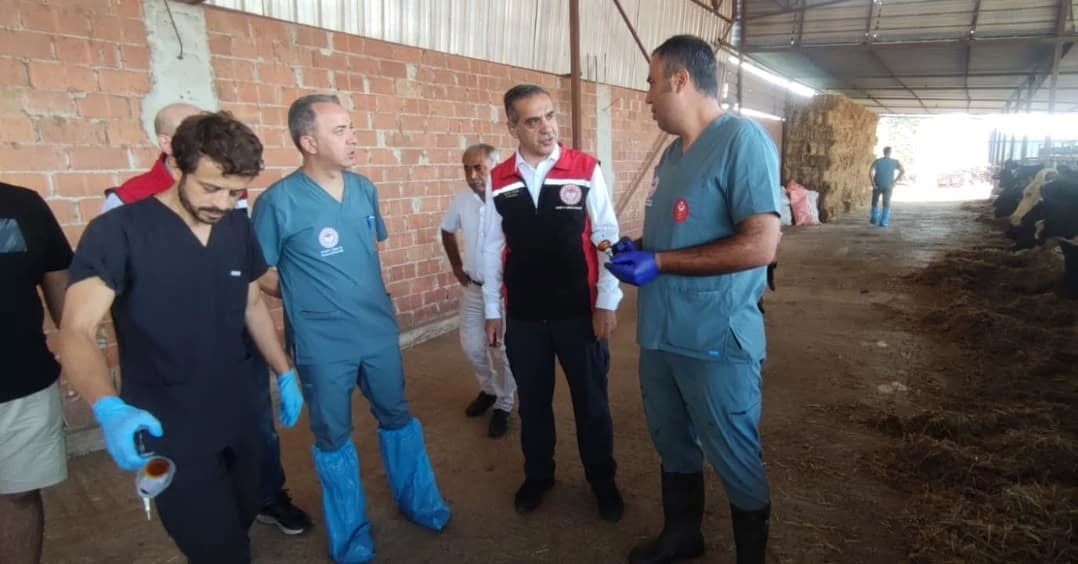 Denizli Haber Şap-1