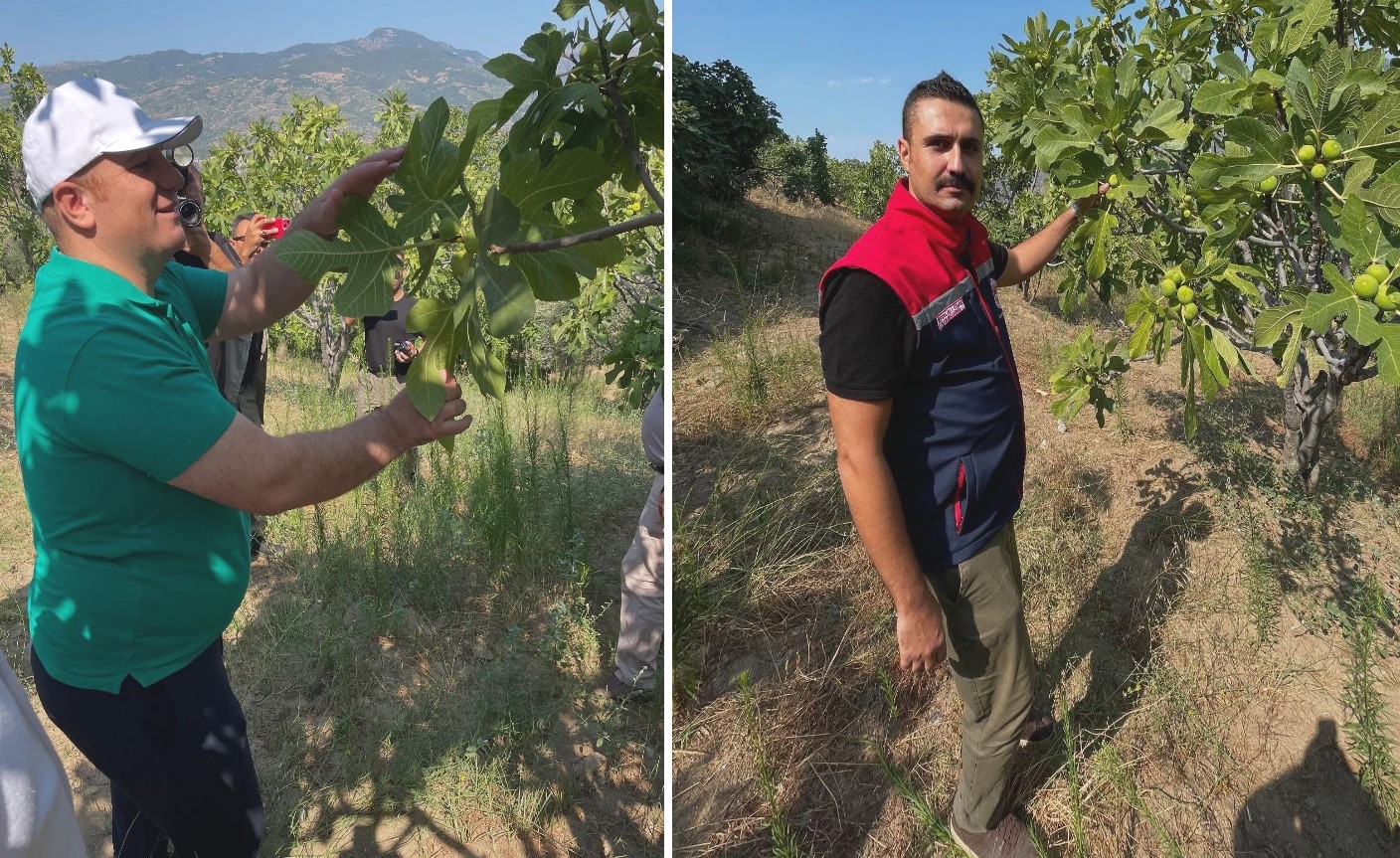 Denizli Haber Şenlik (1)-2