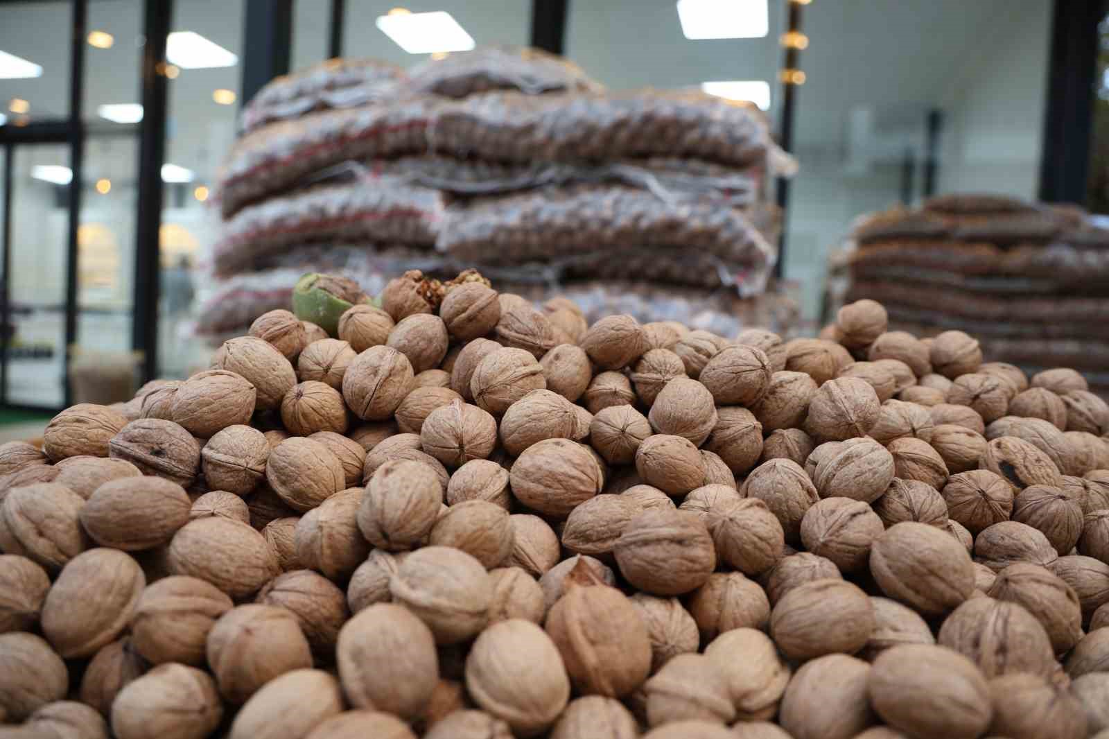 Denizli Haber Tefenlili Ceviz (2)