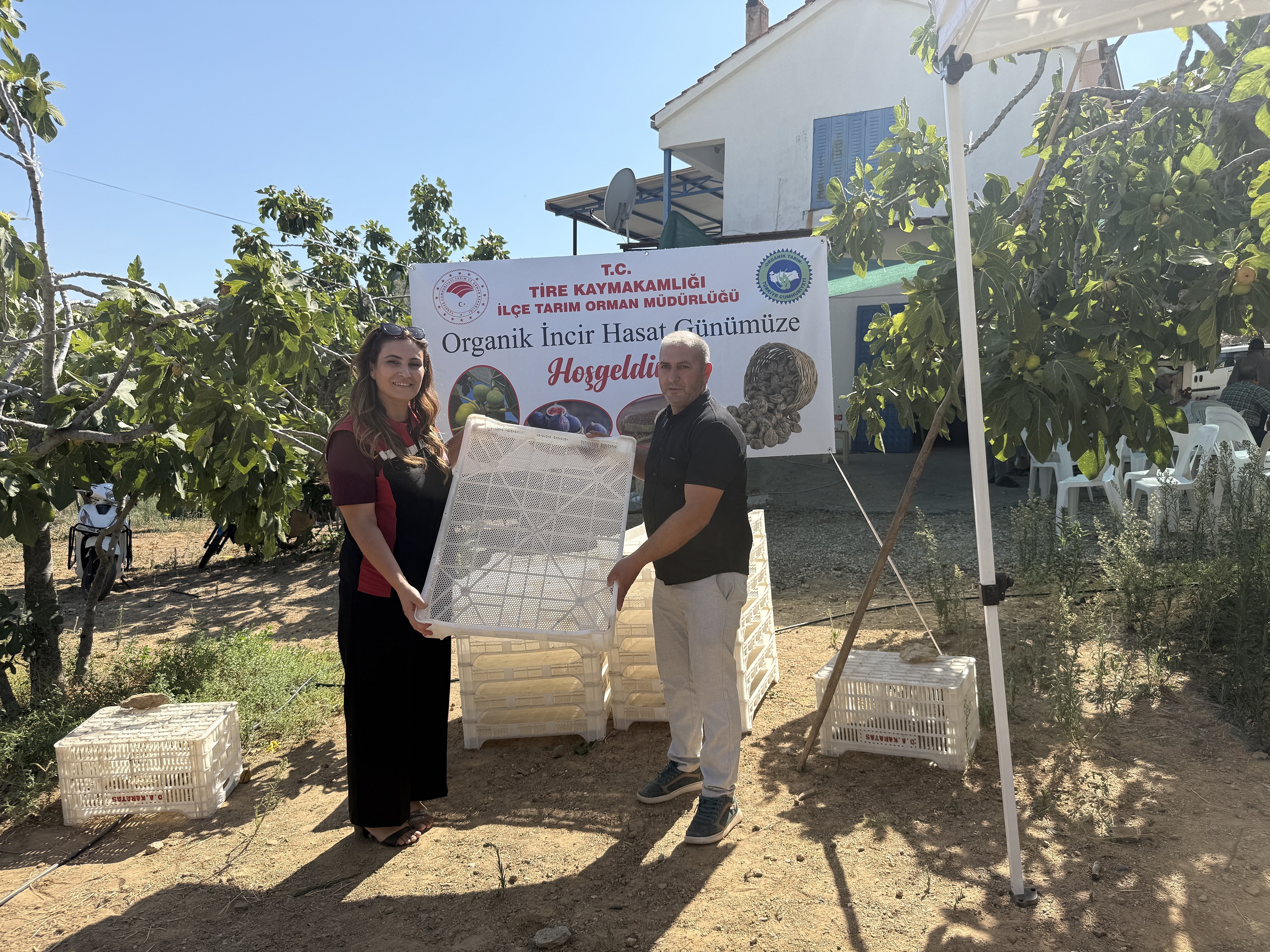 Denizli Haber Tirede Incir Ureticilerine Kerevet Dagitildi (3)