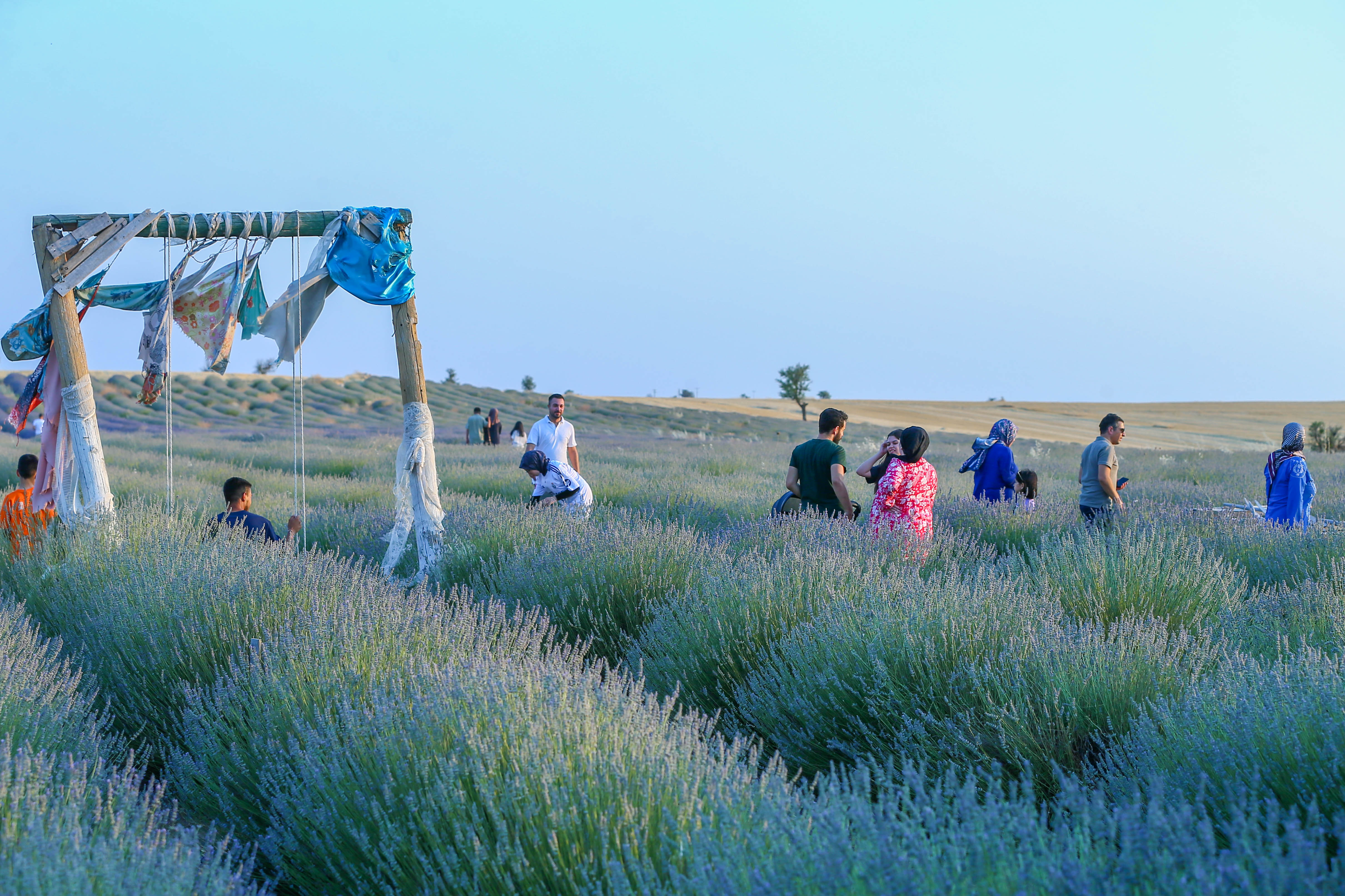 Denizli Haber Uşak Mor Bahçeler (5)