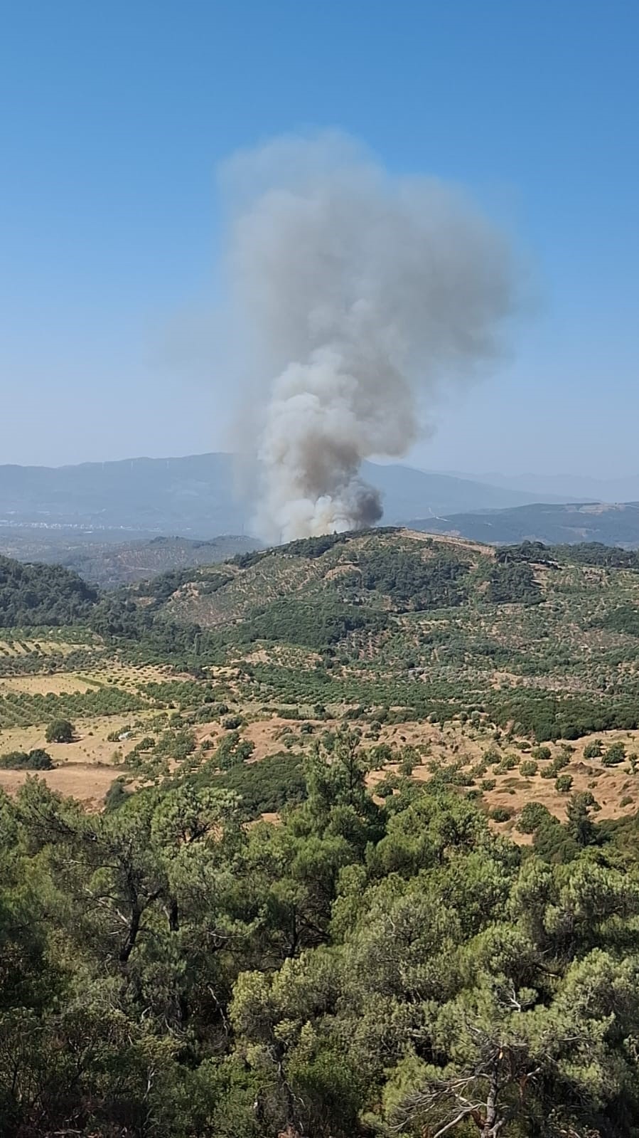 Denizli Haber Yangın-45