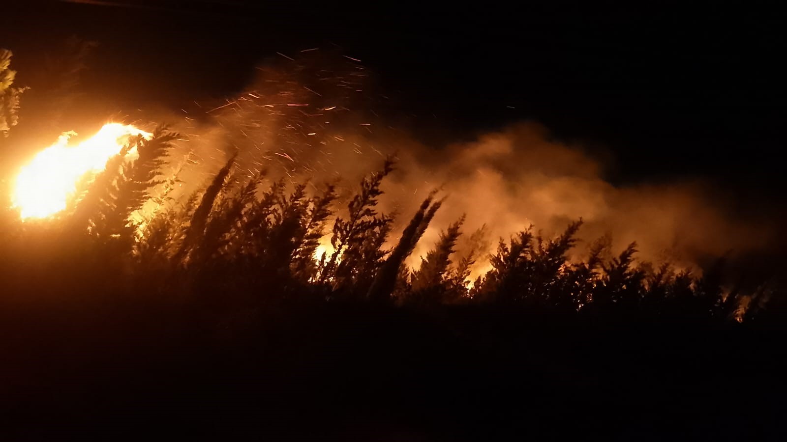 Denizli Haber Yangın-46