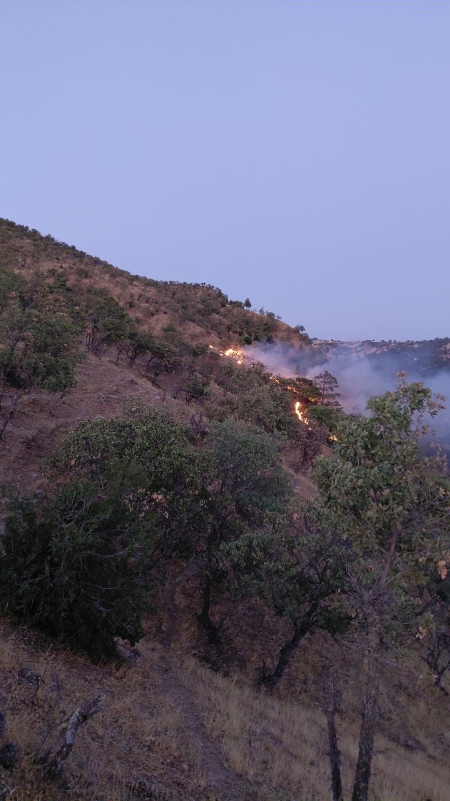 Denizli Haber Yangın6-5