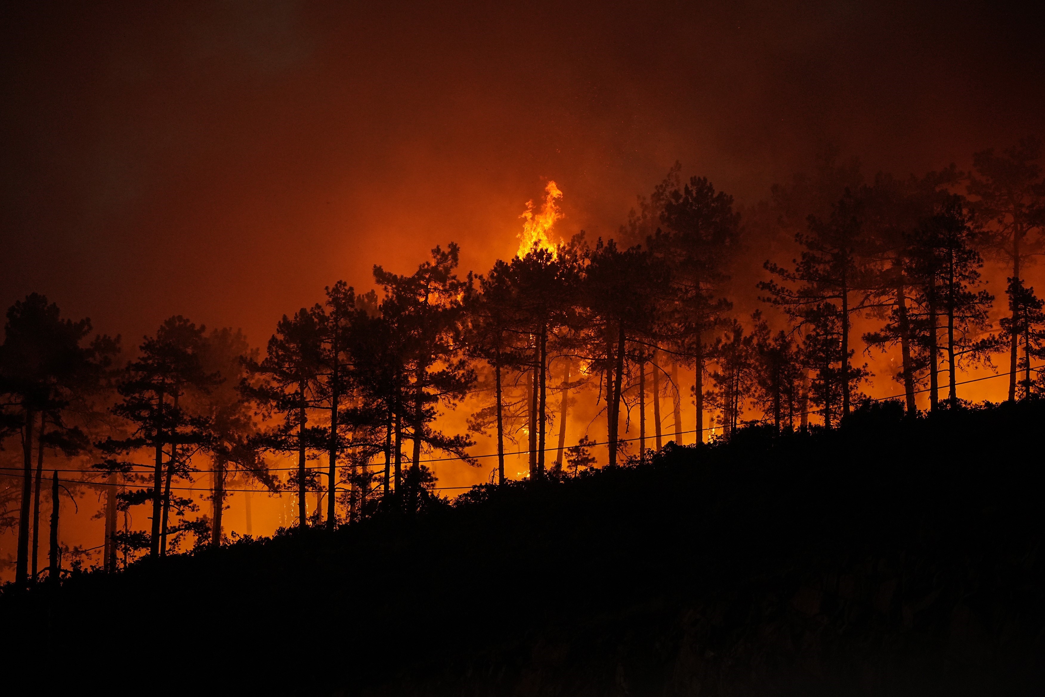 Denizli Haber Yangınhektar (1)