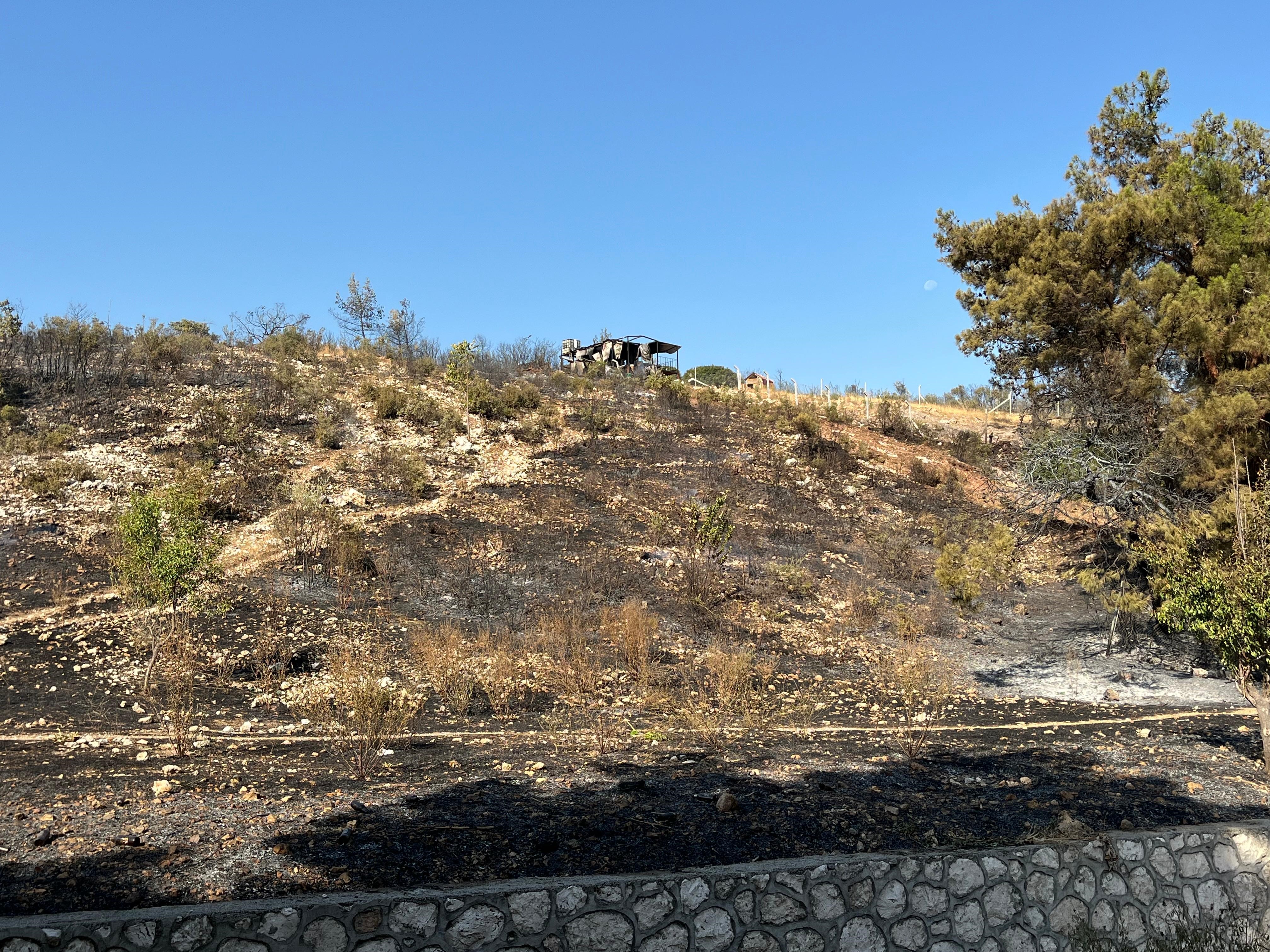 Denizli Haber Yangıns (2)