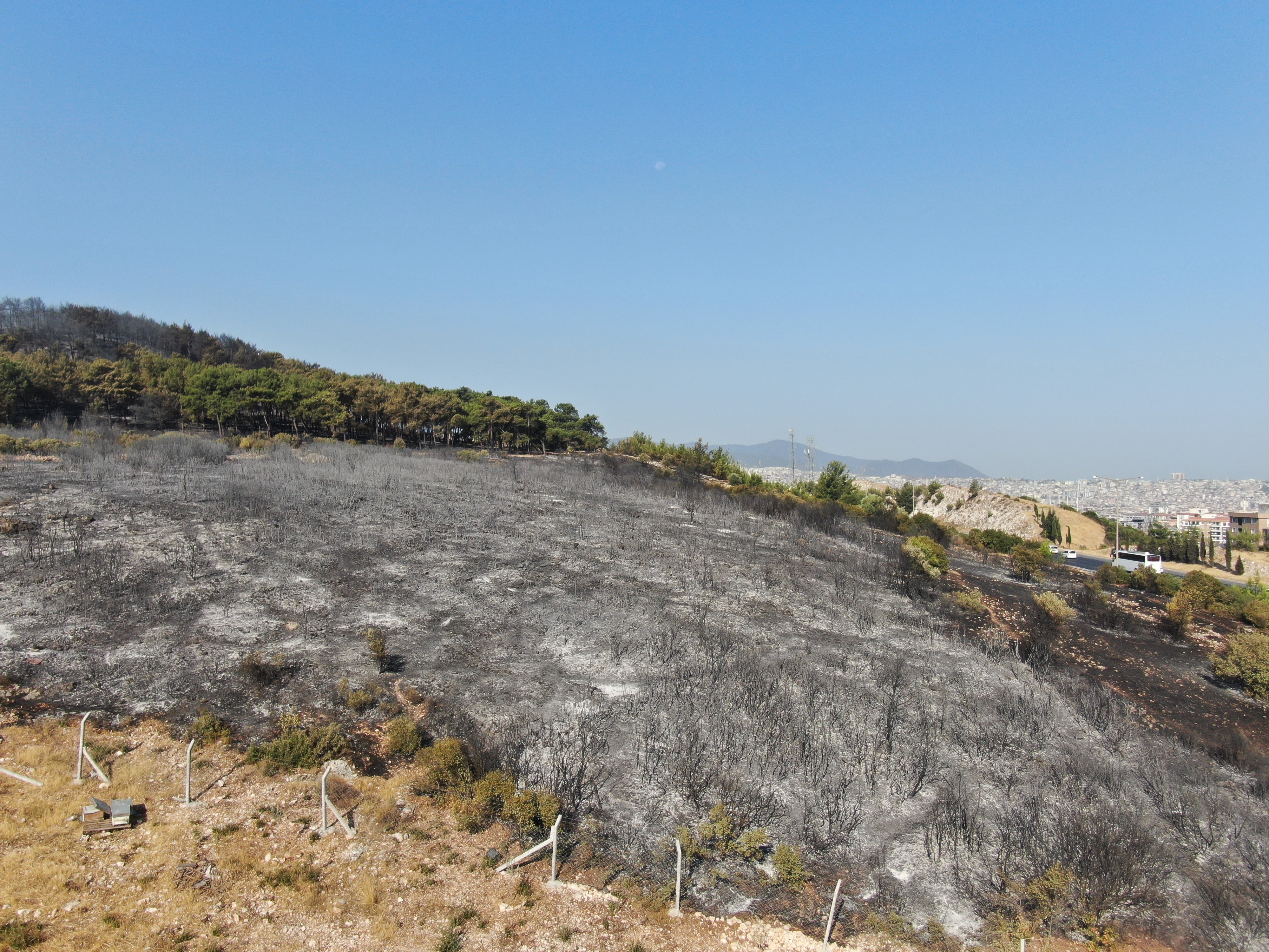 Denizli Haber Yangınss