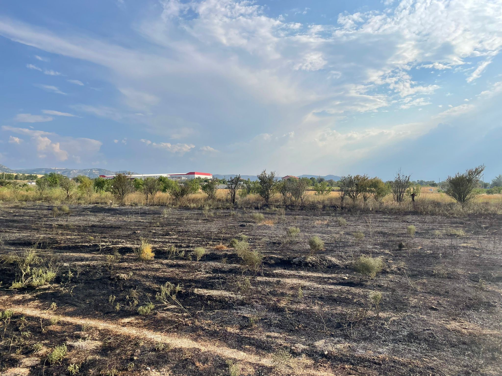 Denizli Haber Yanhın
