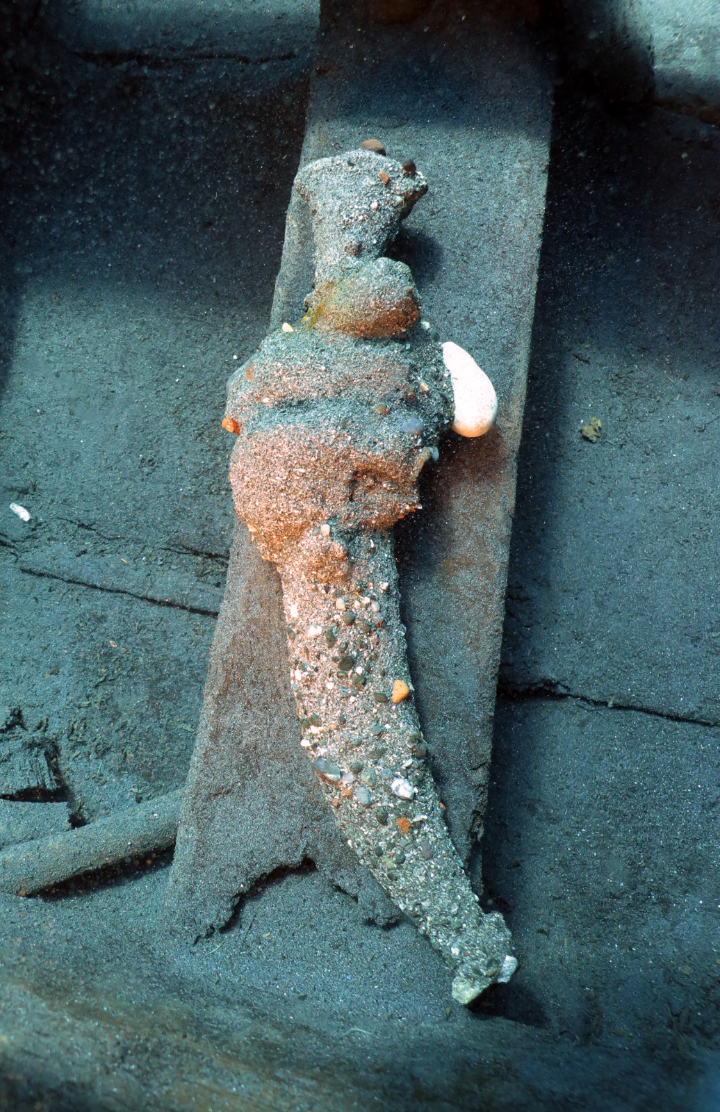 Denizli Haberdatca Aciklarindaki Osmanli Batigindan Bir Muzeyi Dolduracak Kadar Eser Cikti (11)