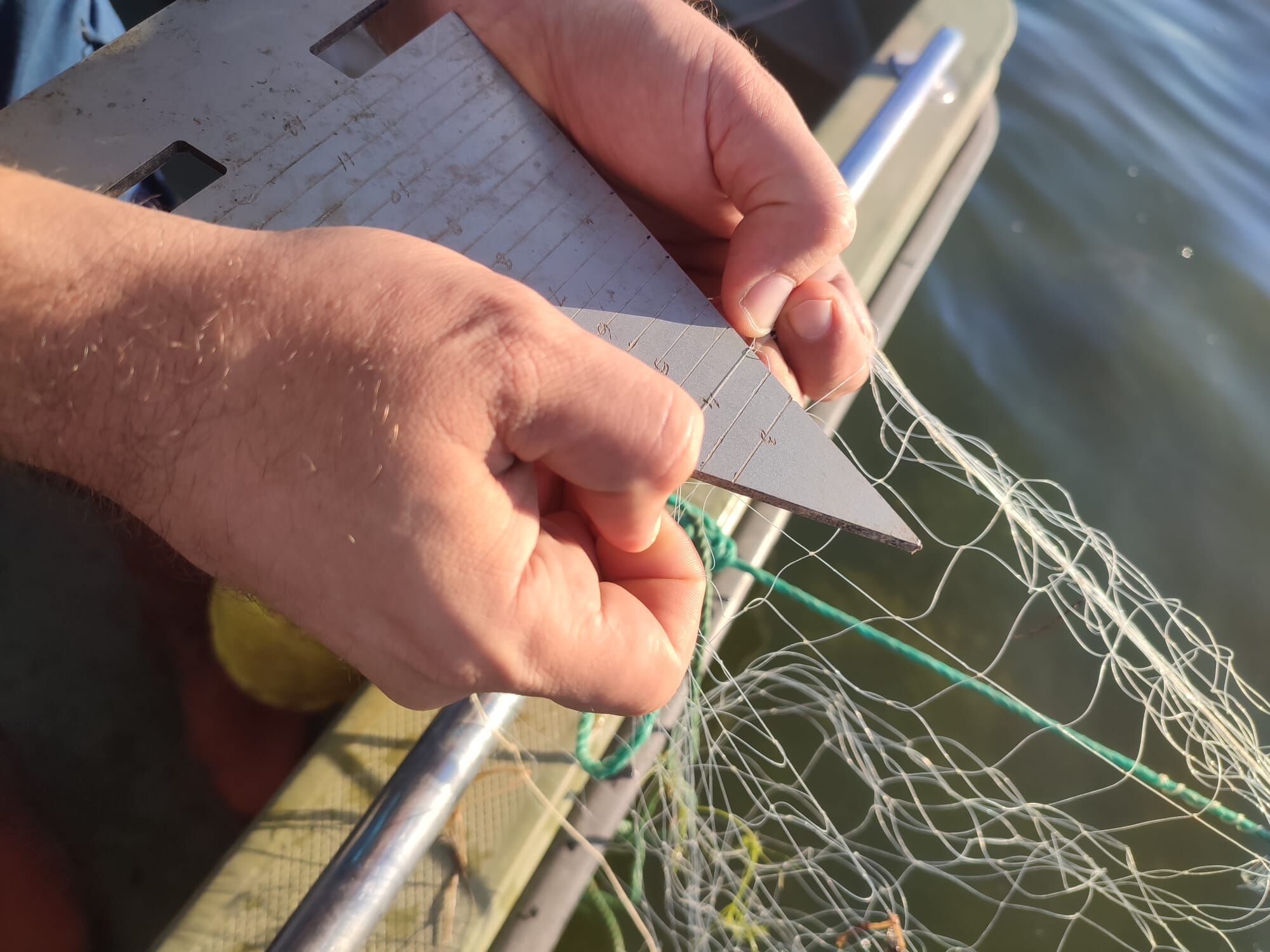 Denizlihaber Balikdenetim