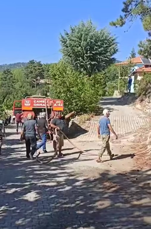 Denizlihaber Cameliyangin