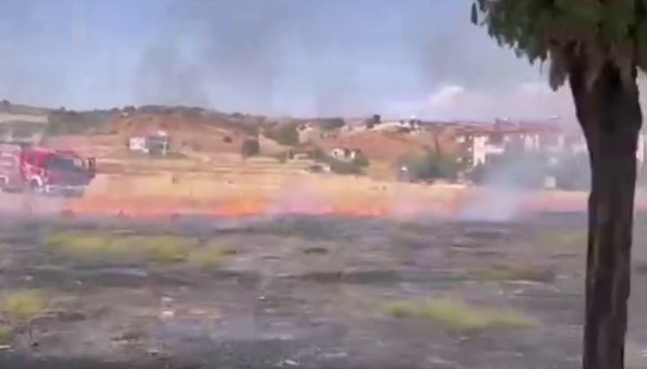 Denizlihaber Orman 1