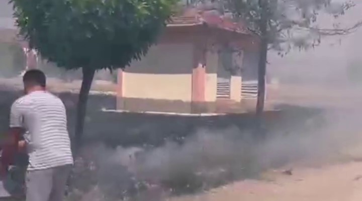 Denizlihaber Orman 2