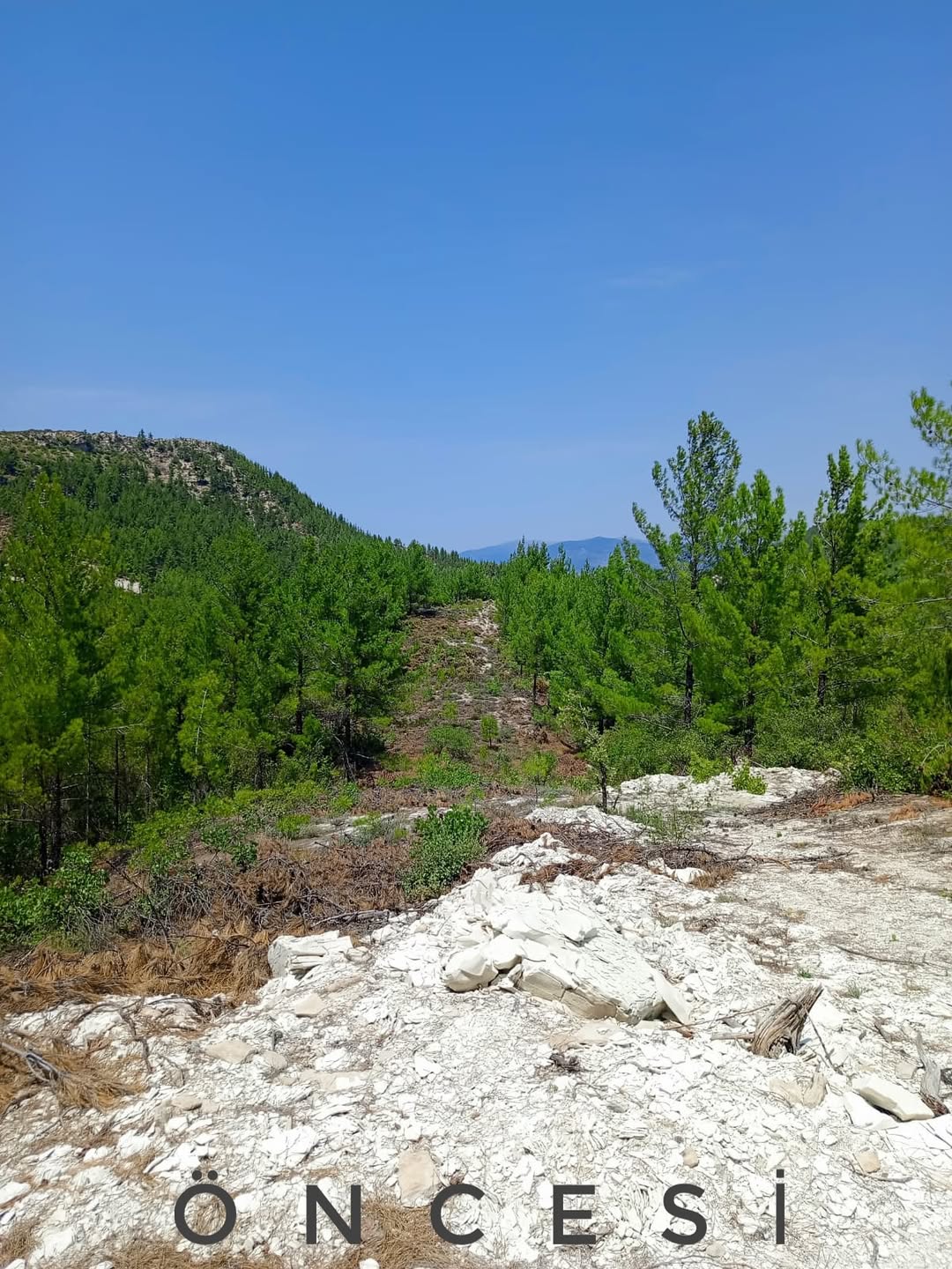 Denizlihaber Orman1-1