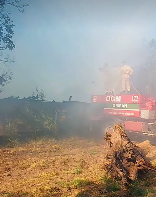 Denizlihaber Tavasyangin 1