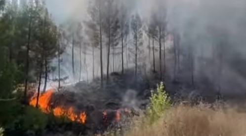 Ekran Görüntüsü 2025 08 13 181933