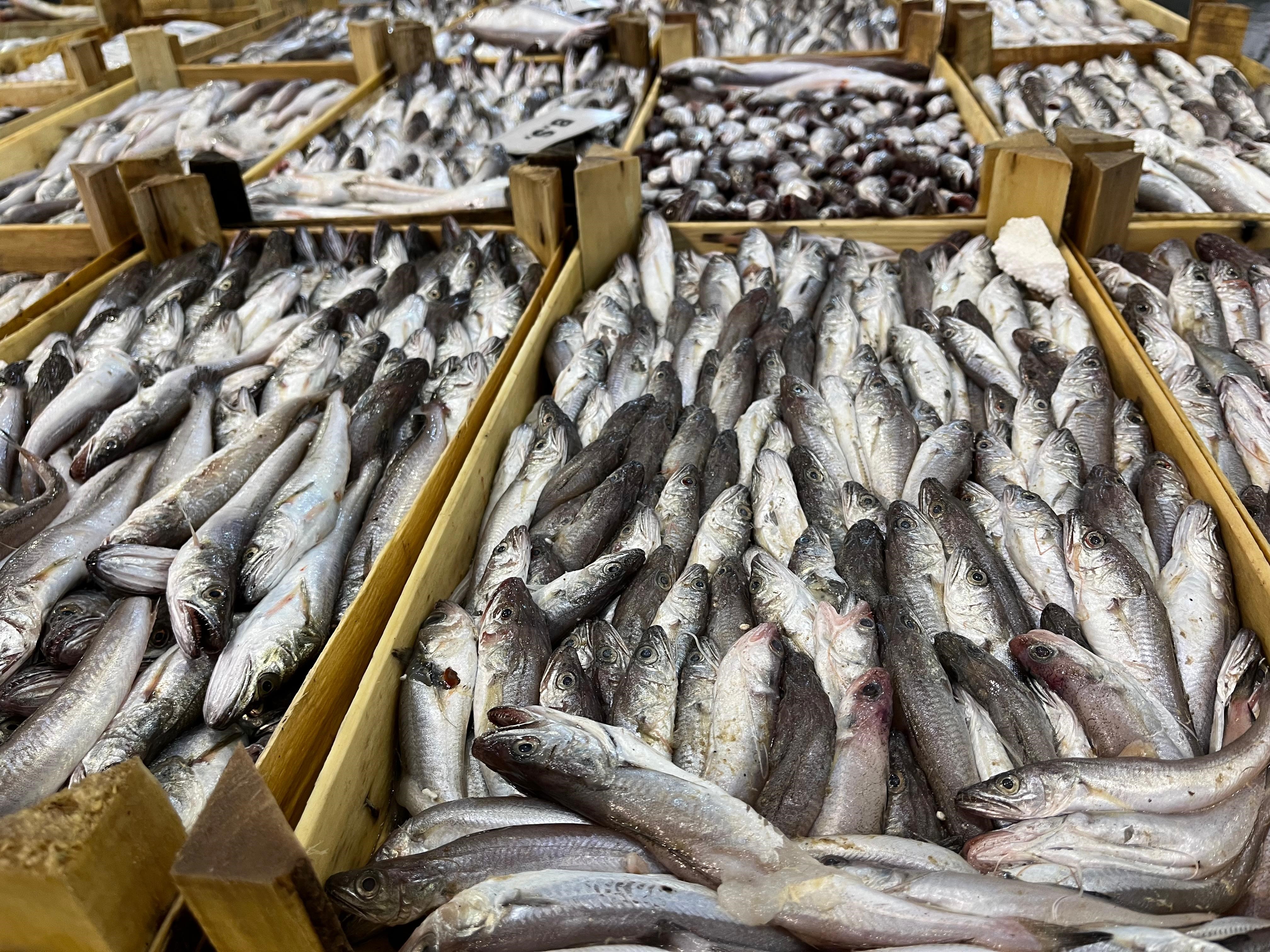 Denizli Ahber Fırtınalımesai (3)