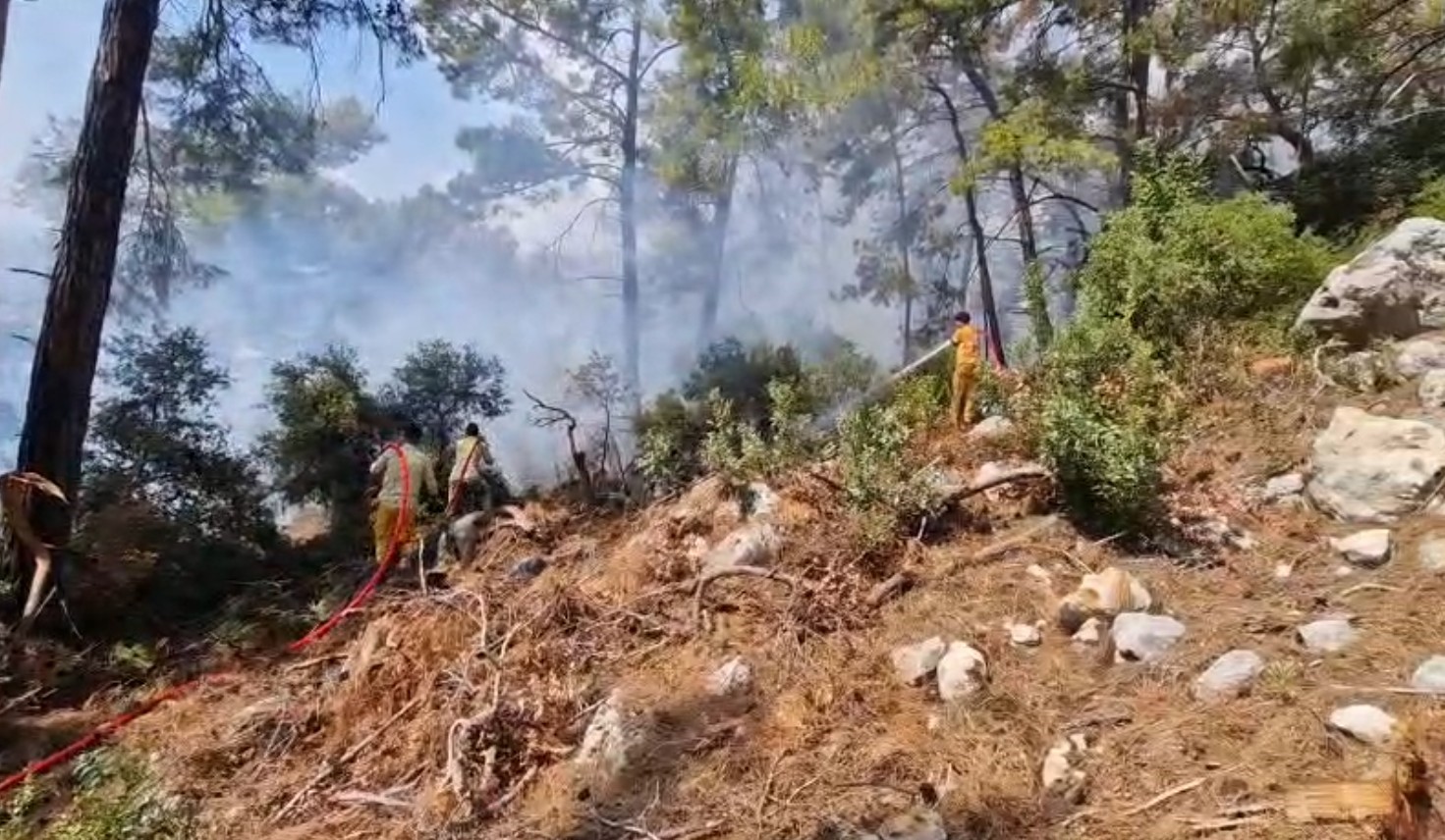 Denizli Haber Antalya Yangın (1)-4