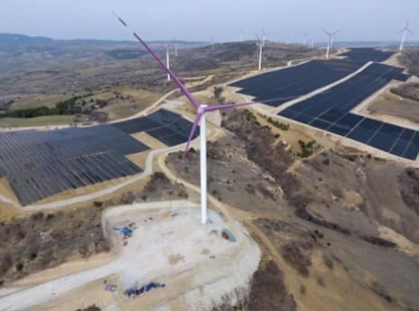 Deni̇zli̇ Haber Aydemlogo