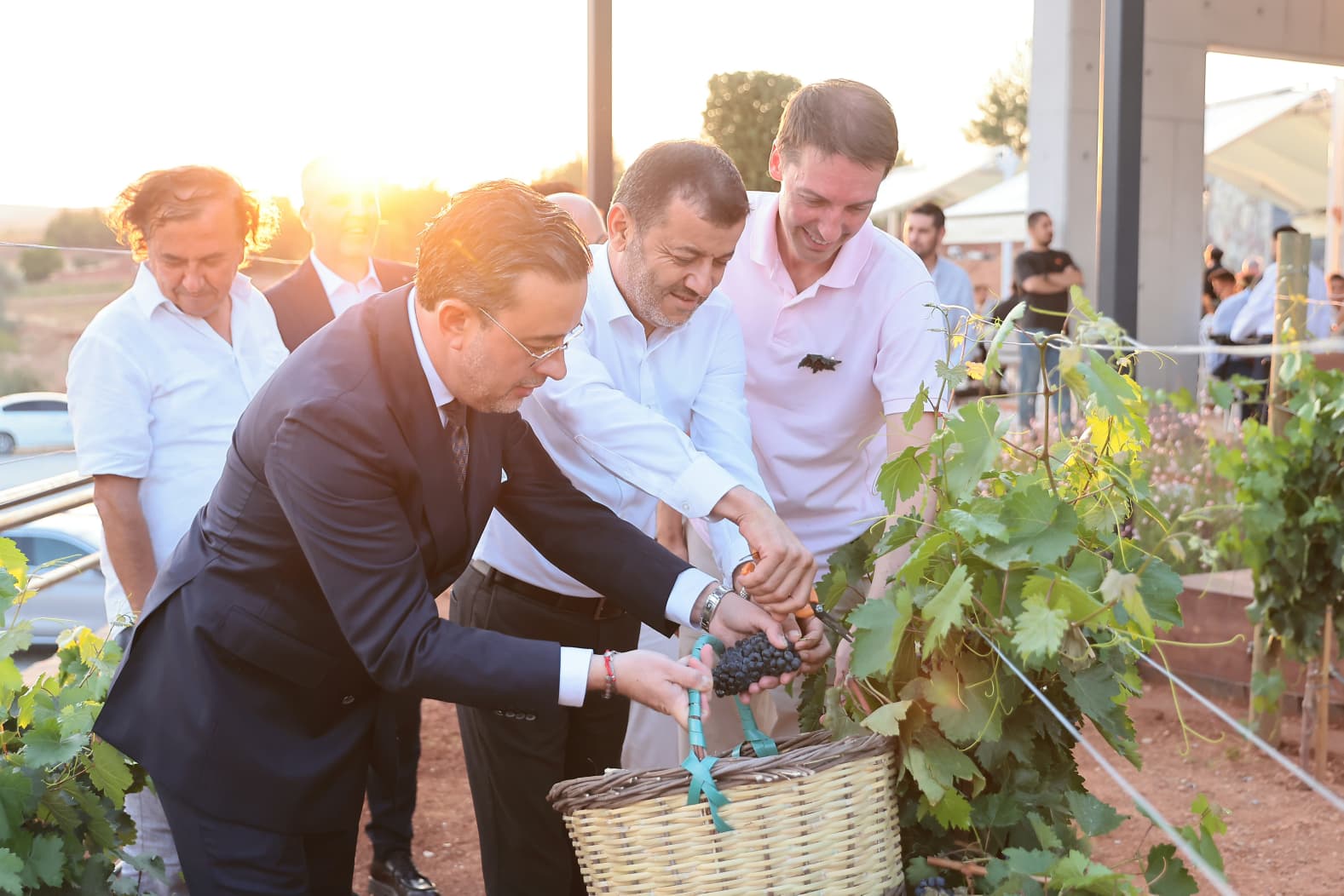 Denizli Haber Bağbozumu (4)