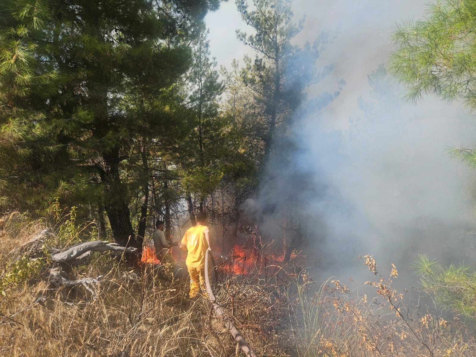 Denizli Haber Buldanyangın-1