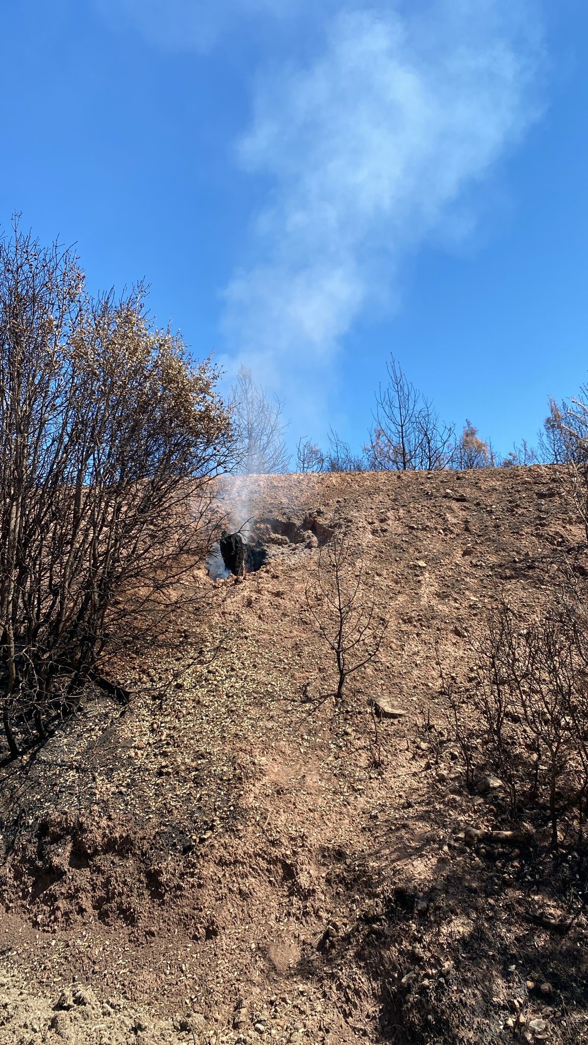 Denizli Haber Buldanyangınıı