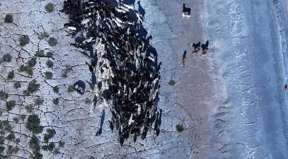 Denizli Haber Burdurgölü (3)