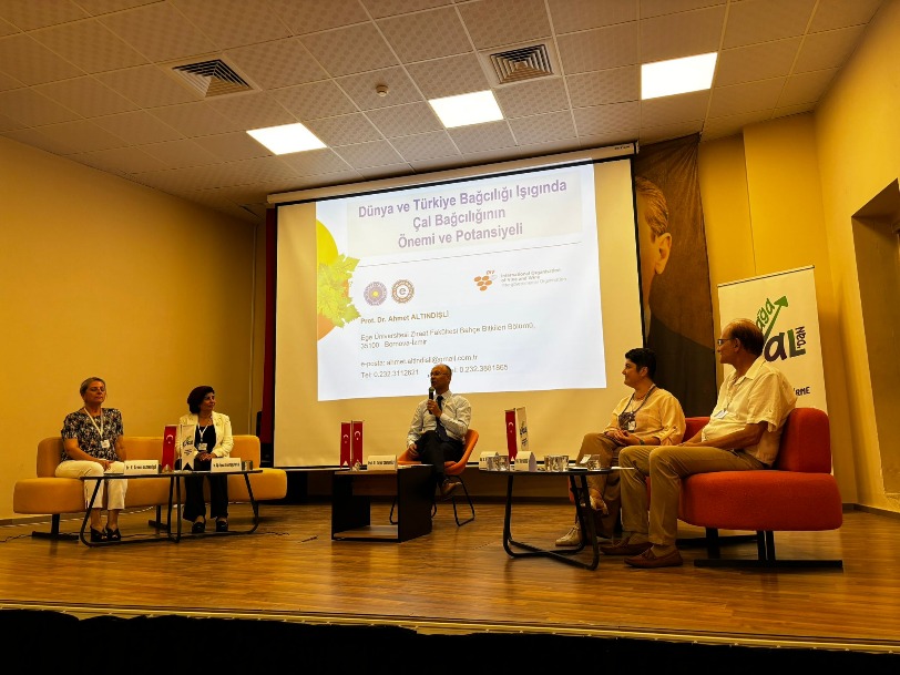 Denizli Haber Çalıştay2 (1)