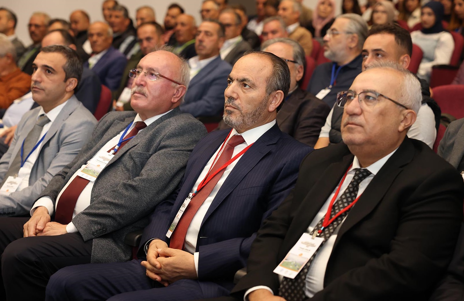 Denizli Haber Çameliçalıştay