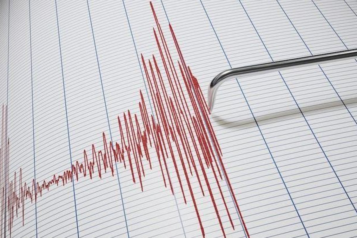 Denizli Haber Deprem2-10