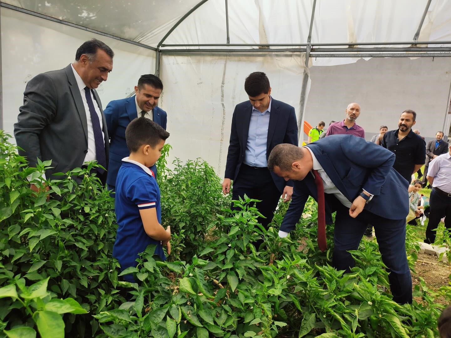 Denizli Haber Eğitriöm