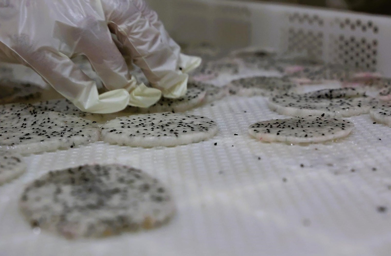 Denizli Haber Ejdermeyve3