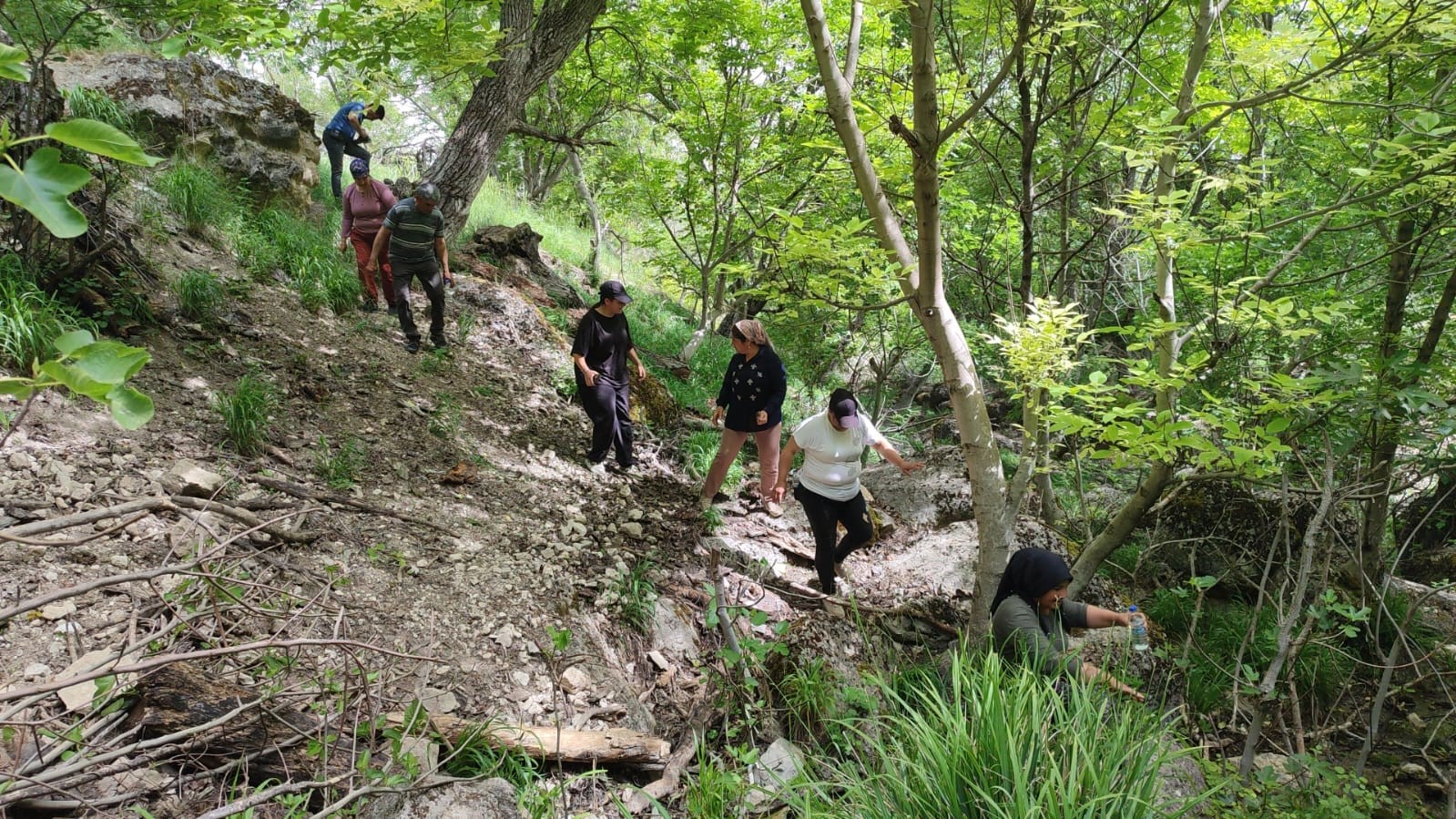 Denizli Haber Gözlermah (3)