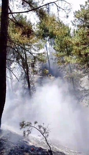 Denizli Haber Honazyangı