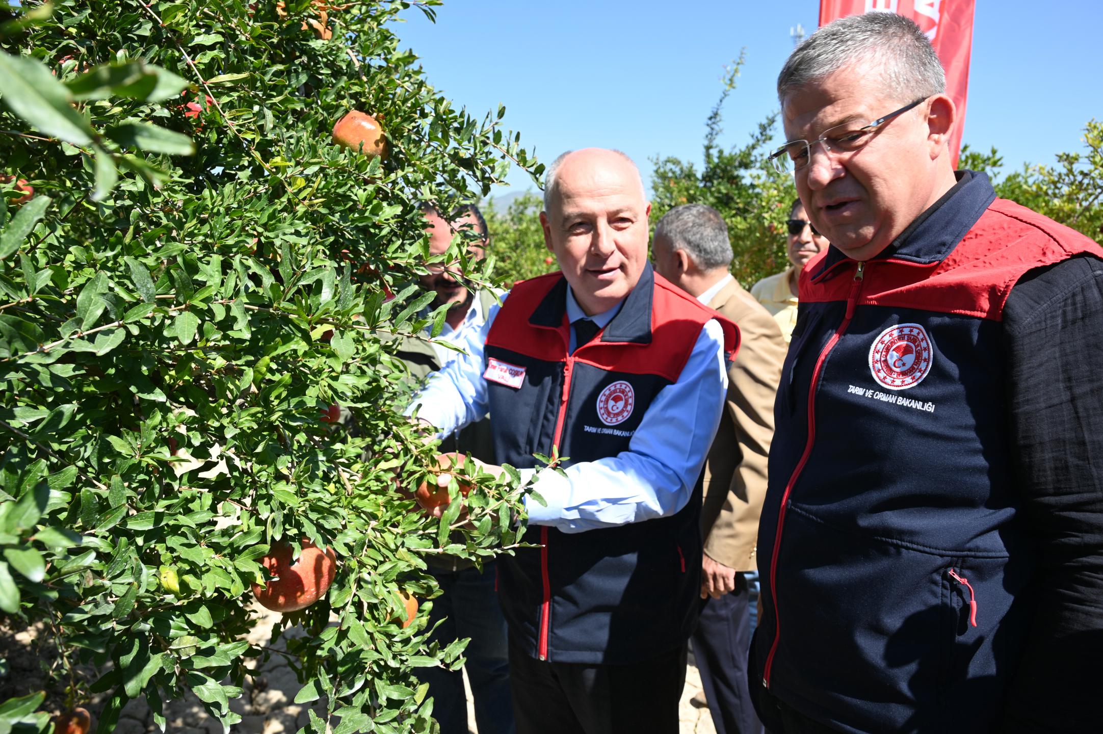 Deni̇zli̇ Haber İl Tarim (8)