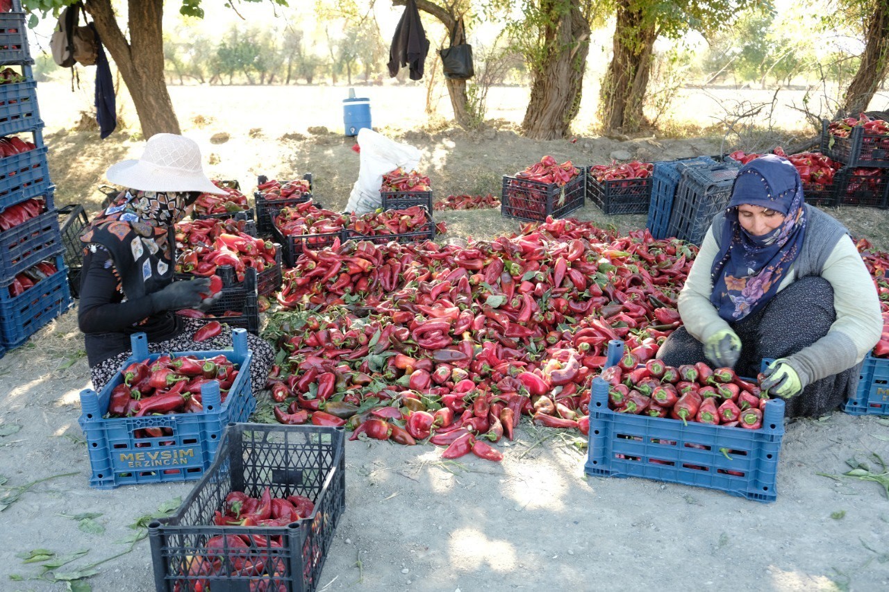 Denizli Haber Kadın