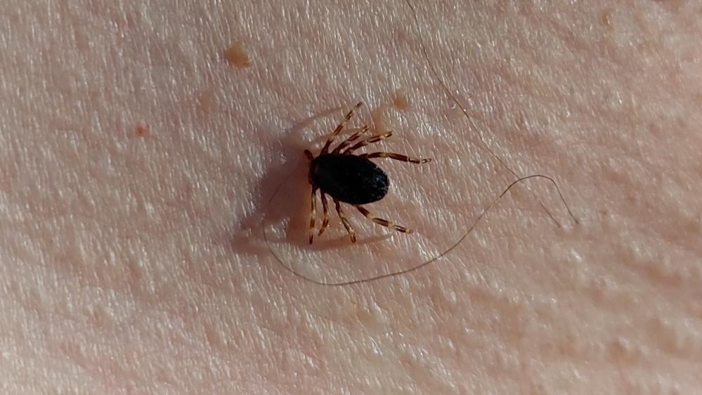 Denizli Haber Keneaçıklma