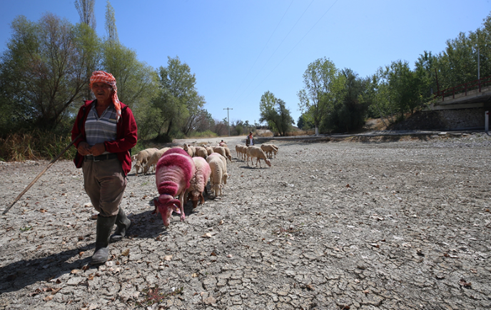 Denizli Haber Köşe Yazısı Ümmü Ceylan