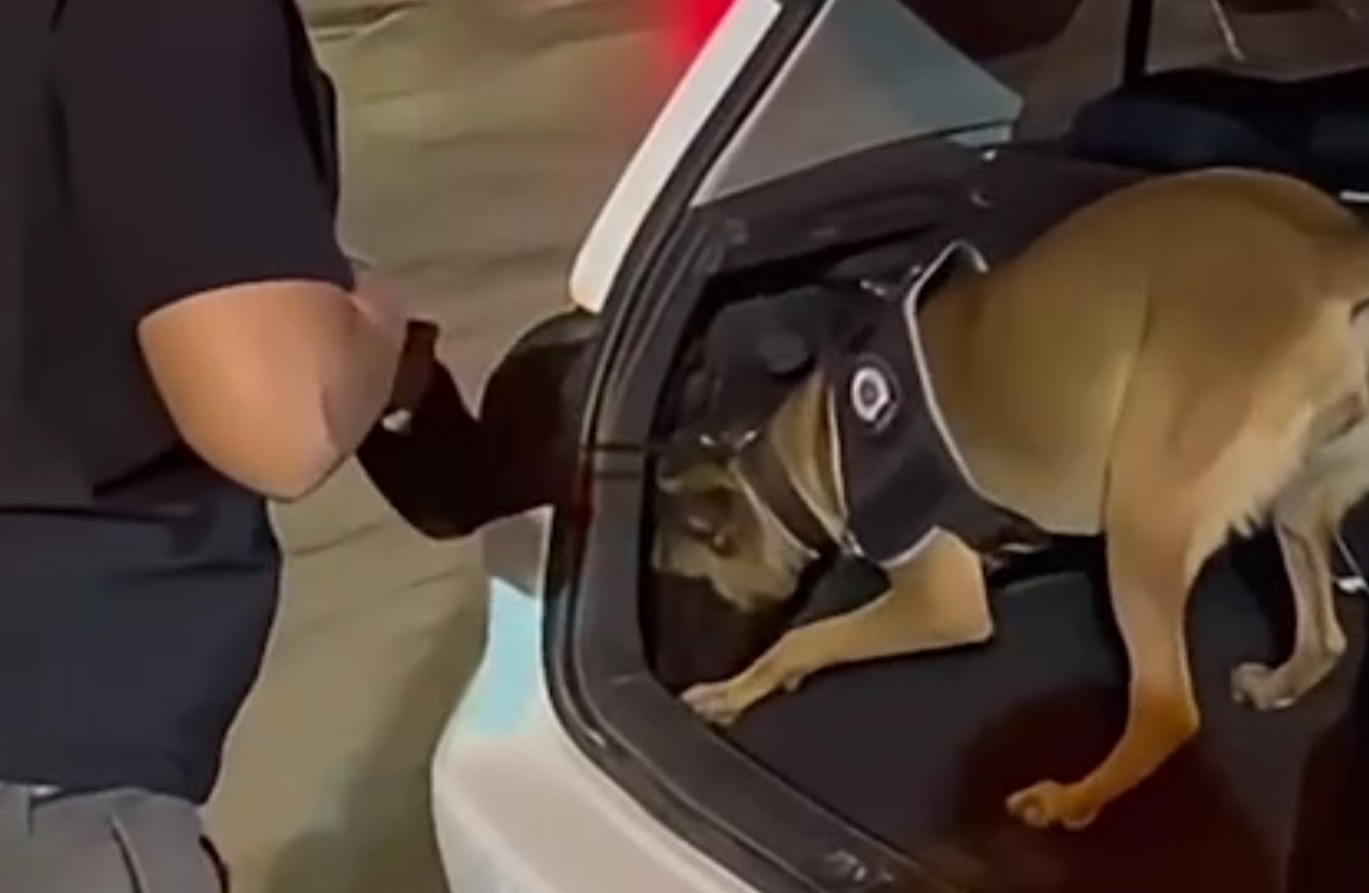 Denizli Haber Operasyonn-8