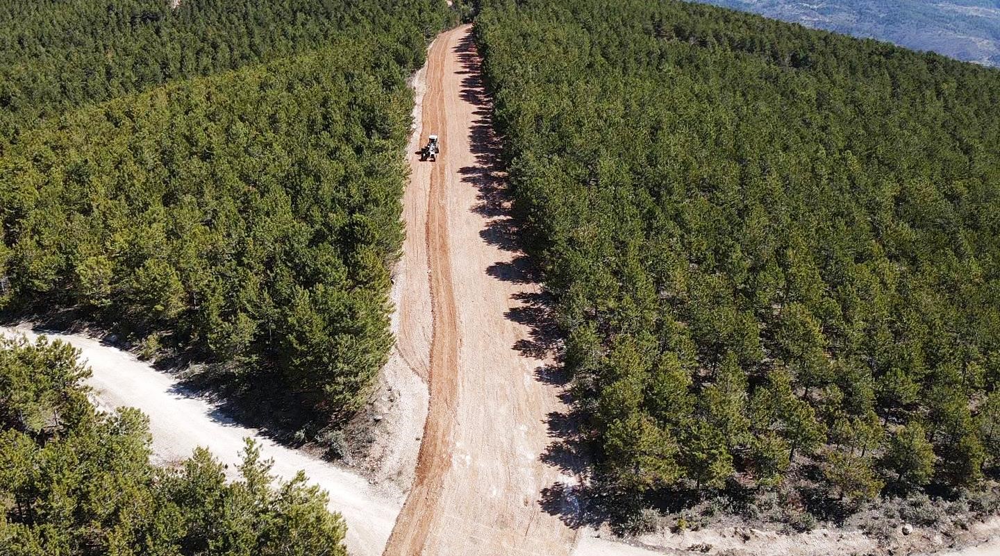 Denizli Haber Ormanbölge (1)