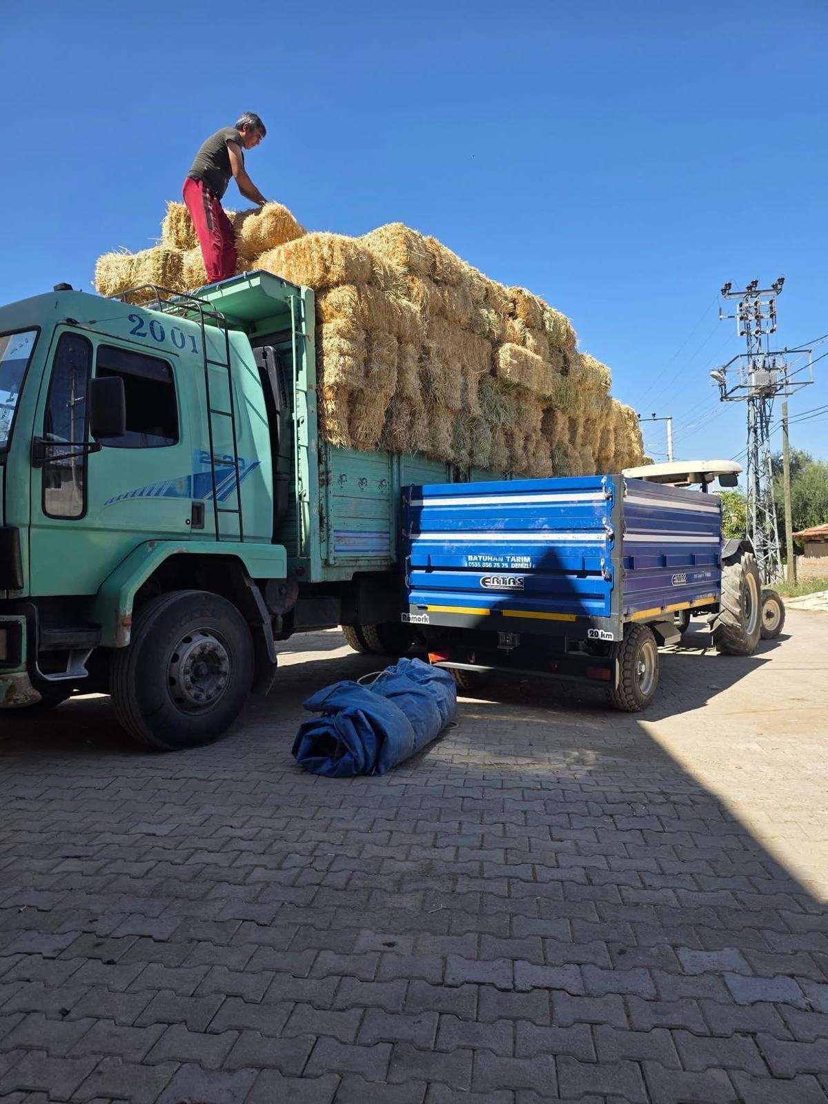 Denizli Haber Ormanmüdürlüğü (1)