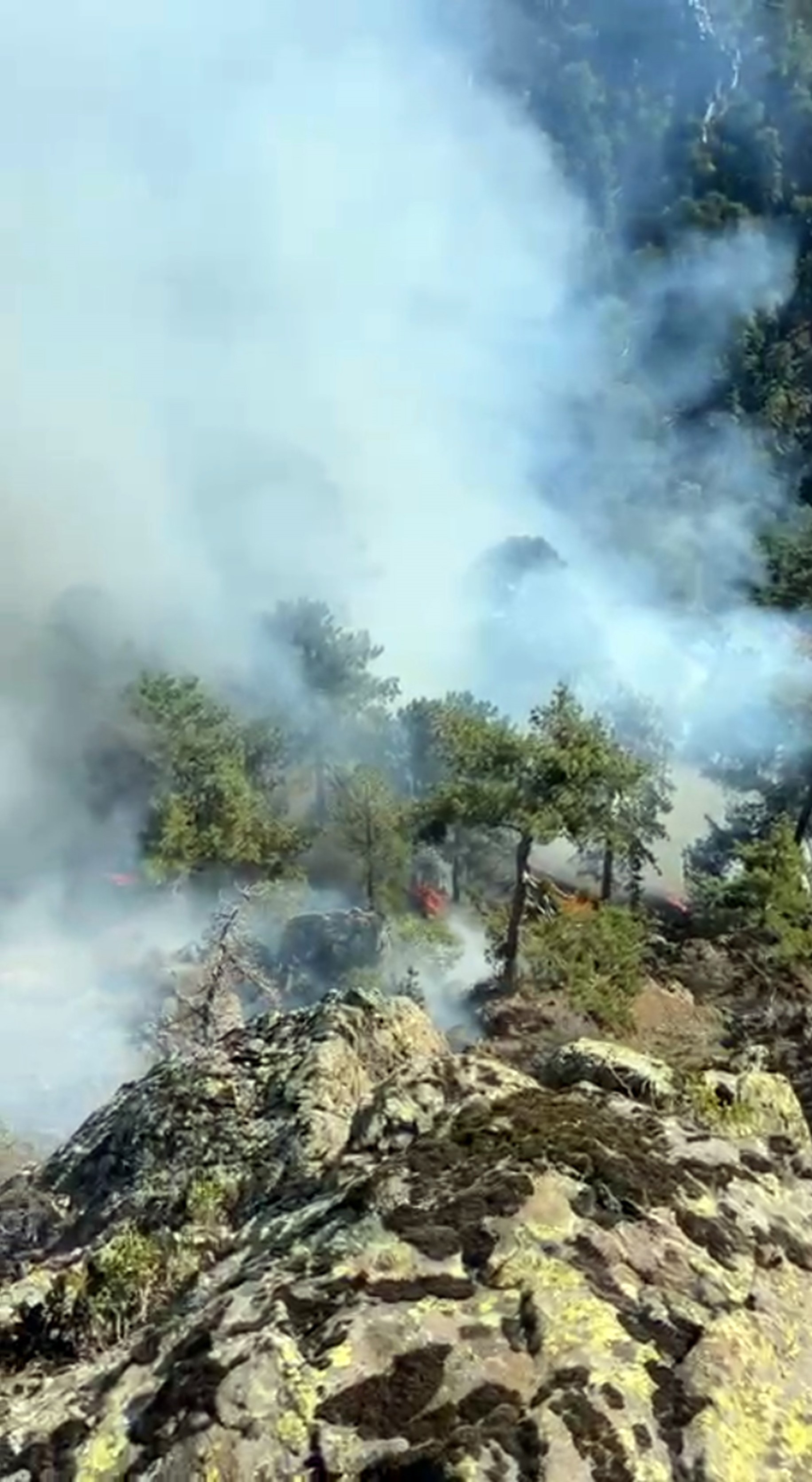 Denizli Haber Ormna Yangını