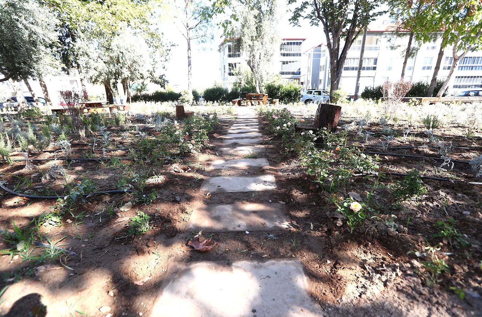 Denizli Haber Pamukkalepark