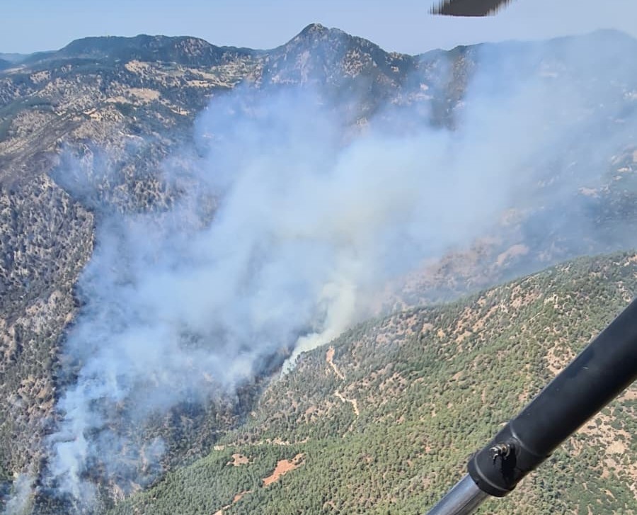 Denizli Haber Pamyangın