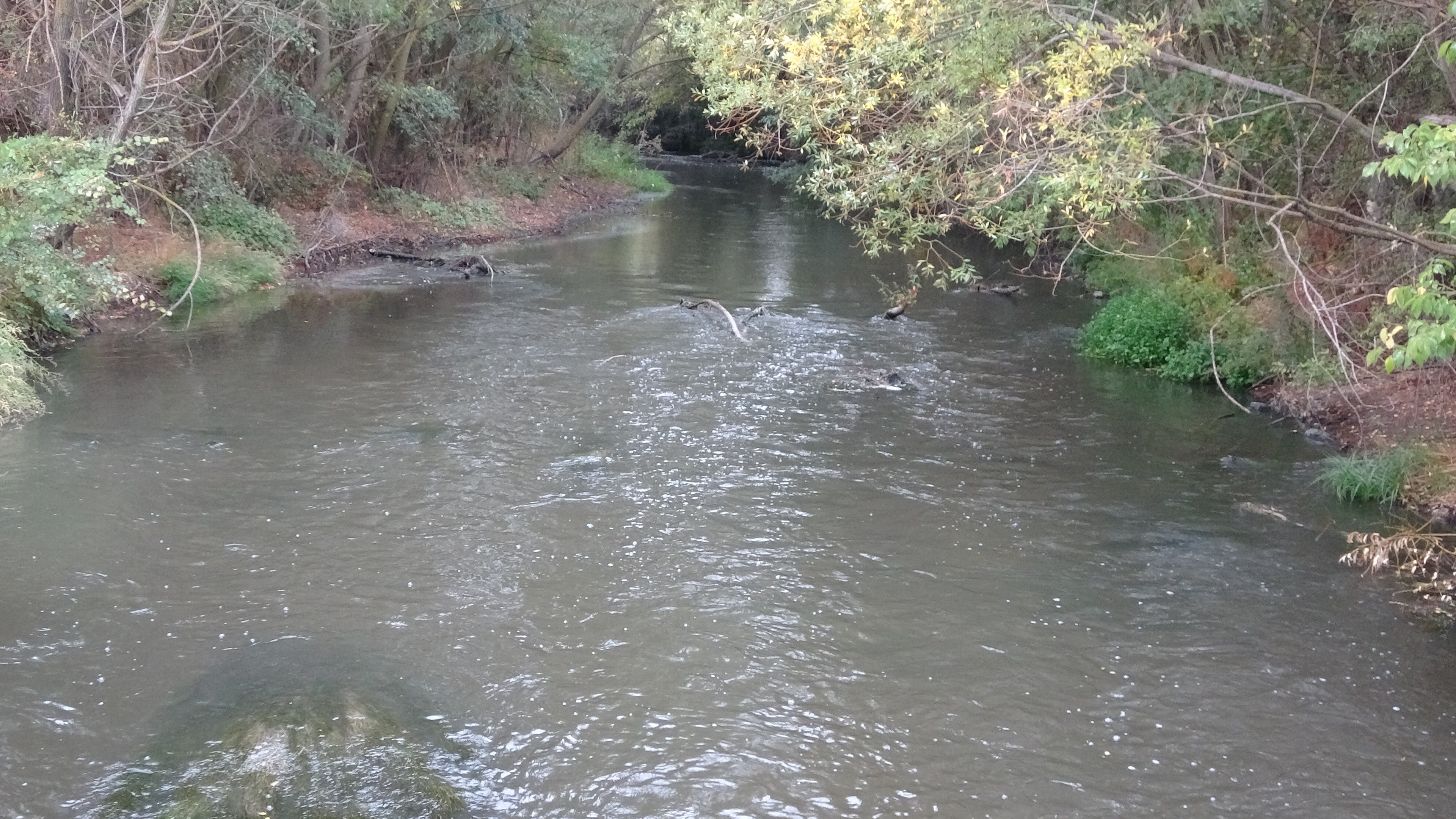 Denizli Haber Porsuk4 (1)