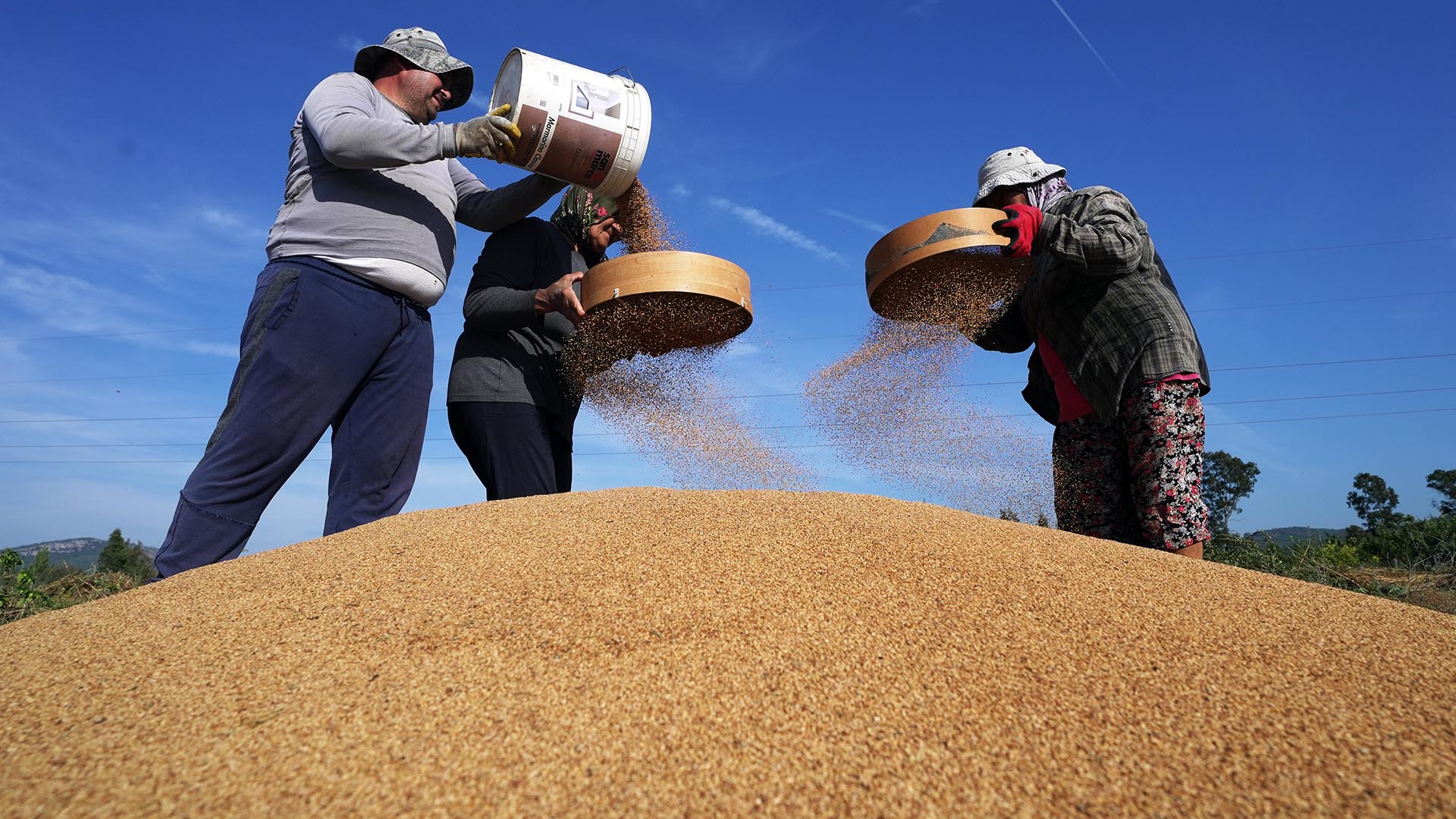Denizli Haber Susamrüzgar